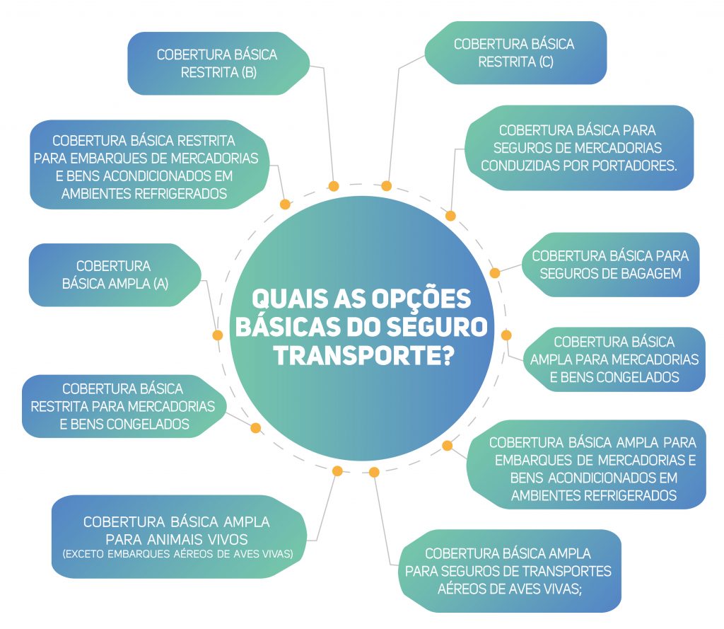 Infográfico sobre as opções de seguro transporte