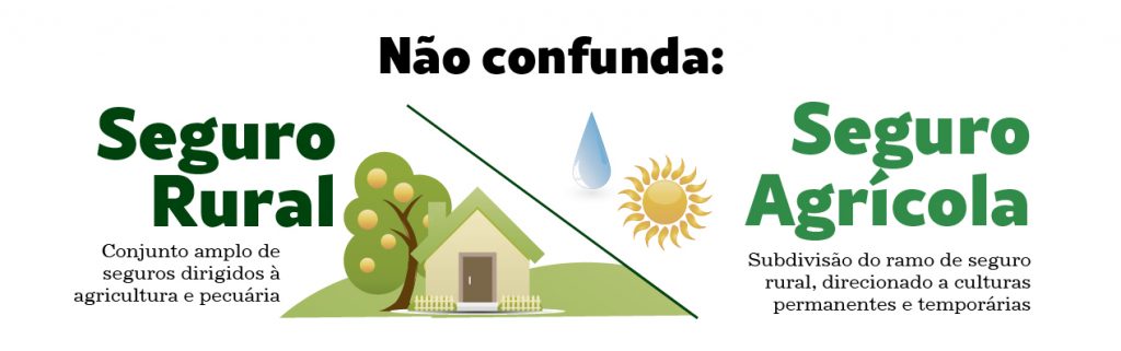 Infográfico da diferença entre seguro rural e seguro agrícola