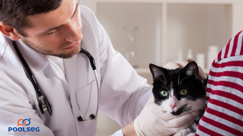 RC Veterinário: A proteção completa para quem cuida dos pets