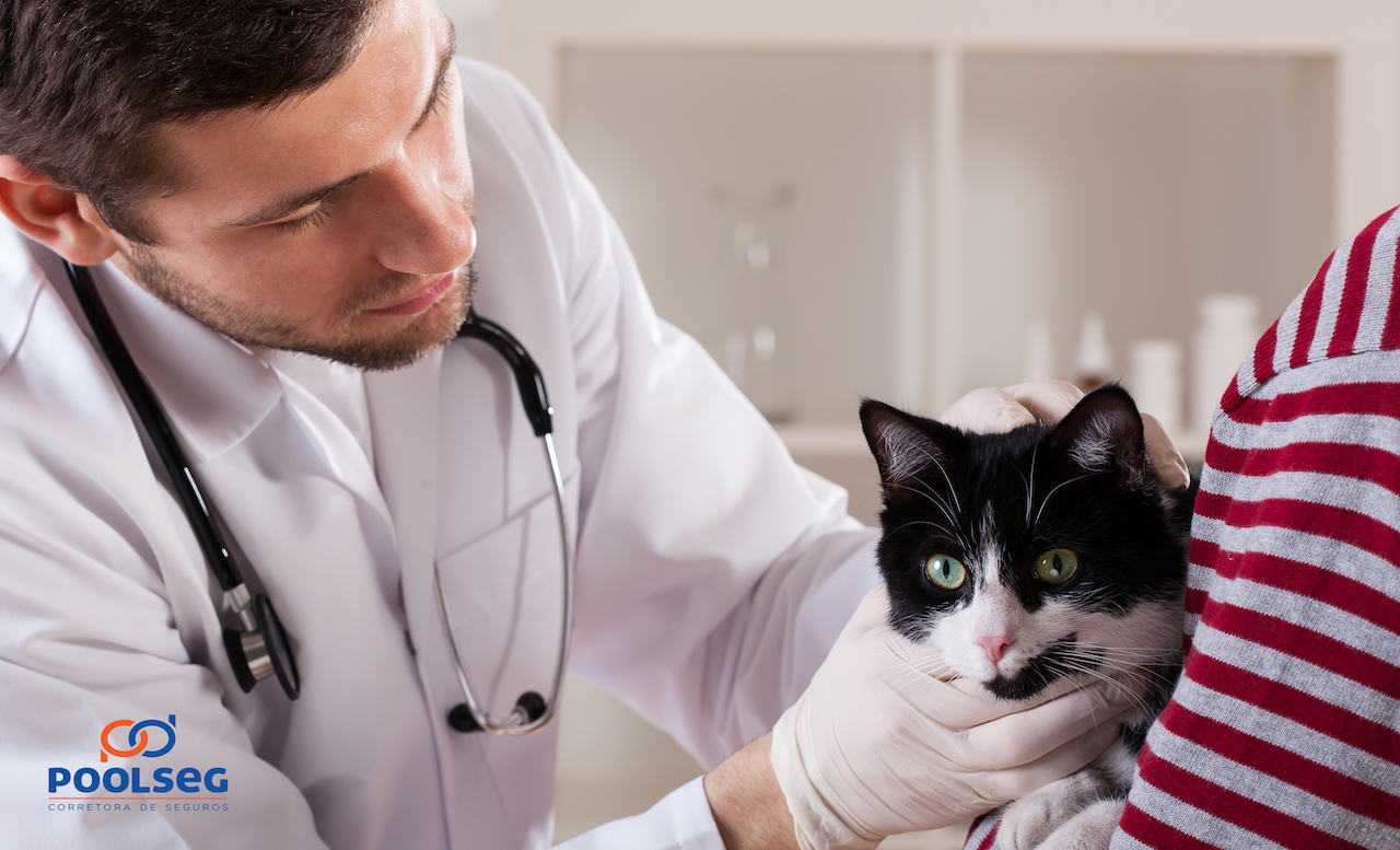 RC Veterinário: A proteção completa para quem cuida dos pets
