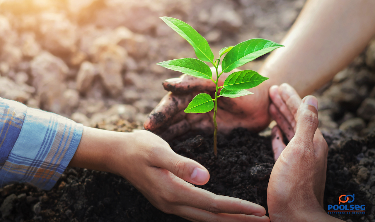 Responsabilidade ambiental: o crescimento econômico sustentável